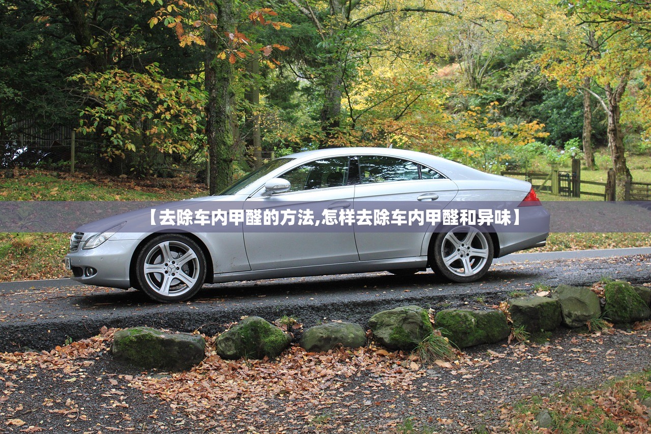 【去除车内甲醛的方法,怎样去除车内甲醛和异味】