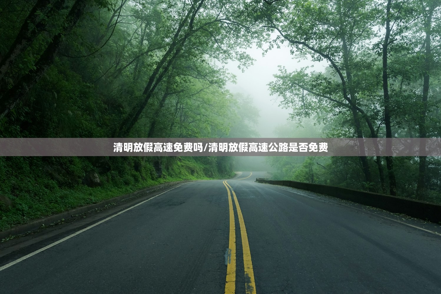 清明放假高速免费吗/清明放假高速公路是否免费