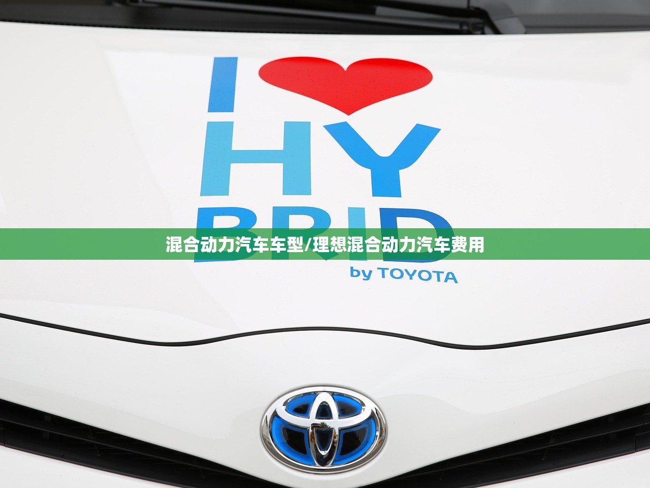 混合动力汽车车型/理想混合动力汽车费用