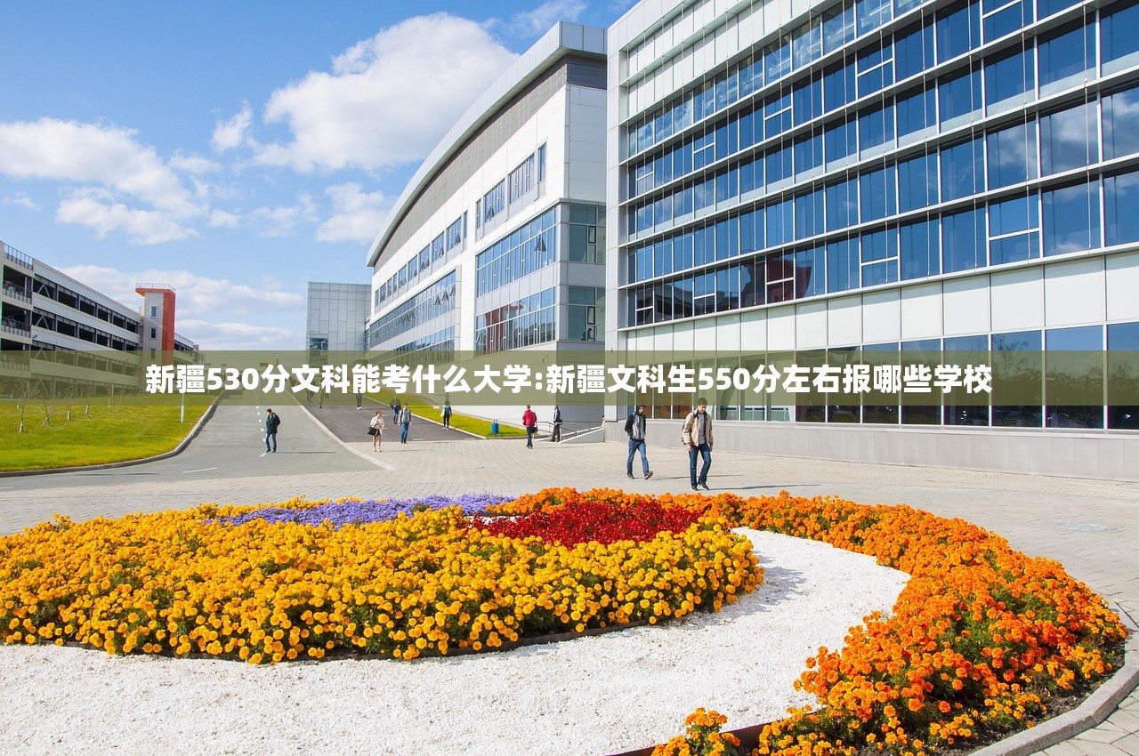 新疆530分文科能考什么大学:新疆文科生550分左右报哪些学校