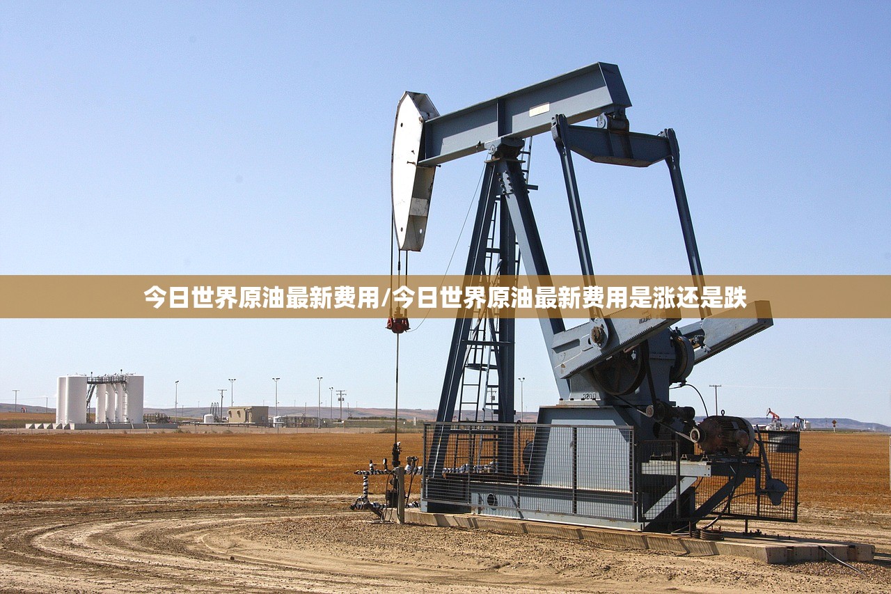 今日世界原油最新费用/今日世界原油最新费用是涨还是跌