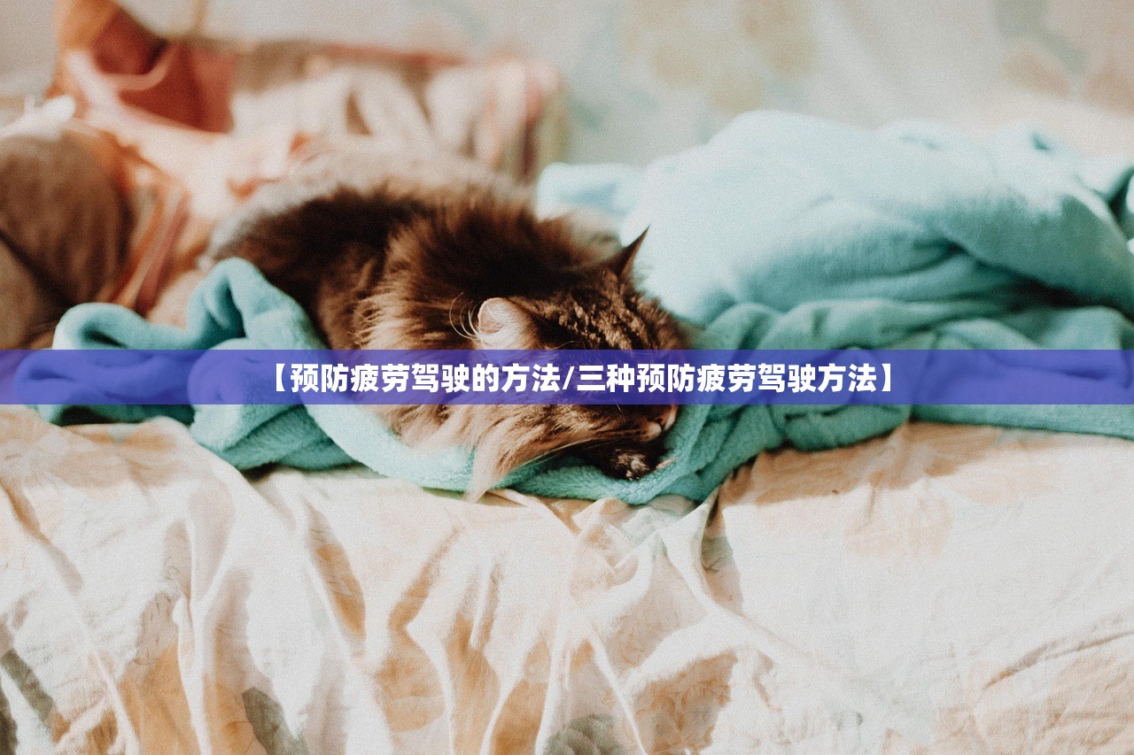 【预防疲劳驾驶的方法/三种预防疲劳驾驶方法】
