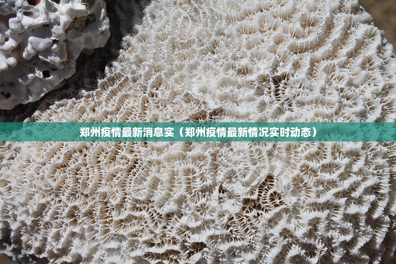 郑州疫情最新消息实（郑州疫情最新情况实时动态）