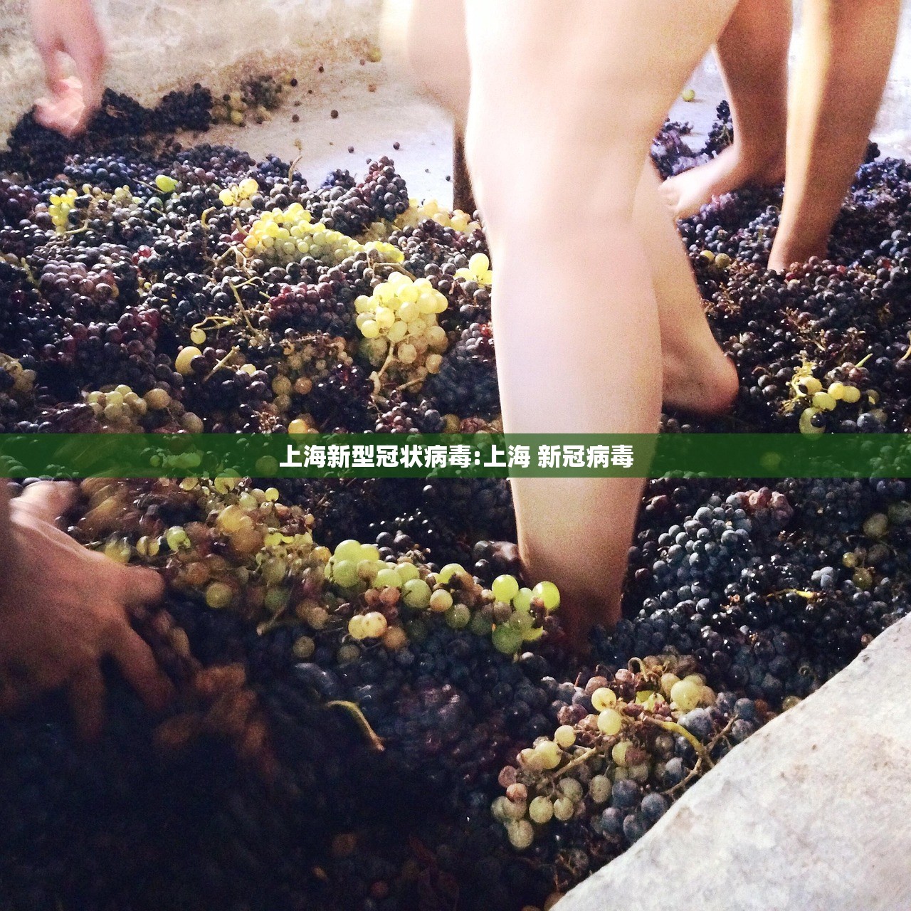 上海新型冠状病毒:上海 新冠病毒
