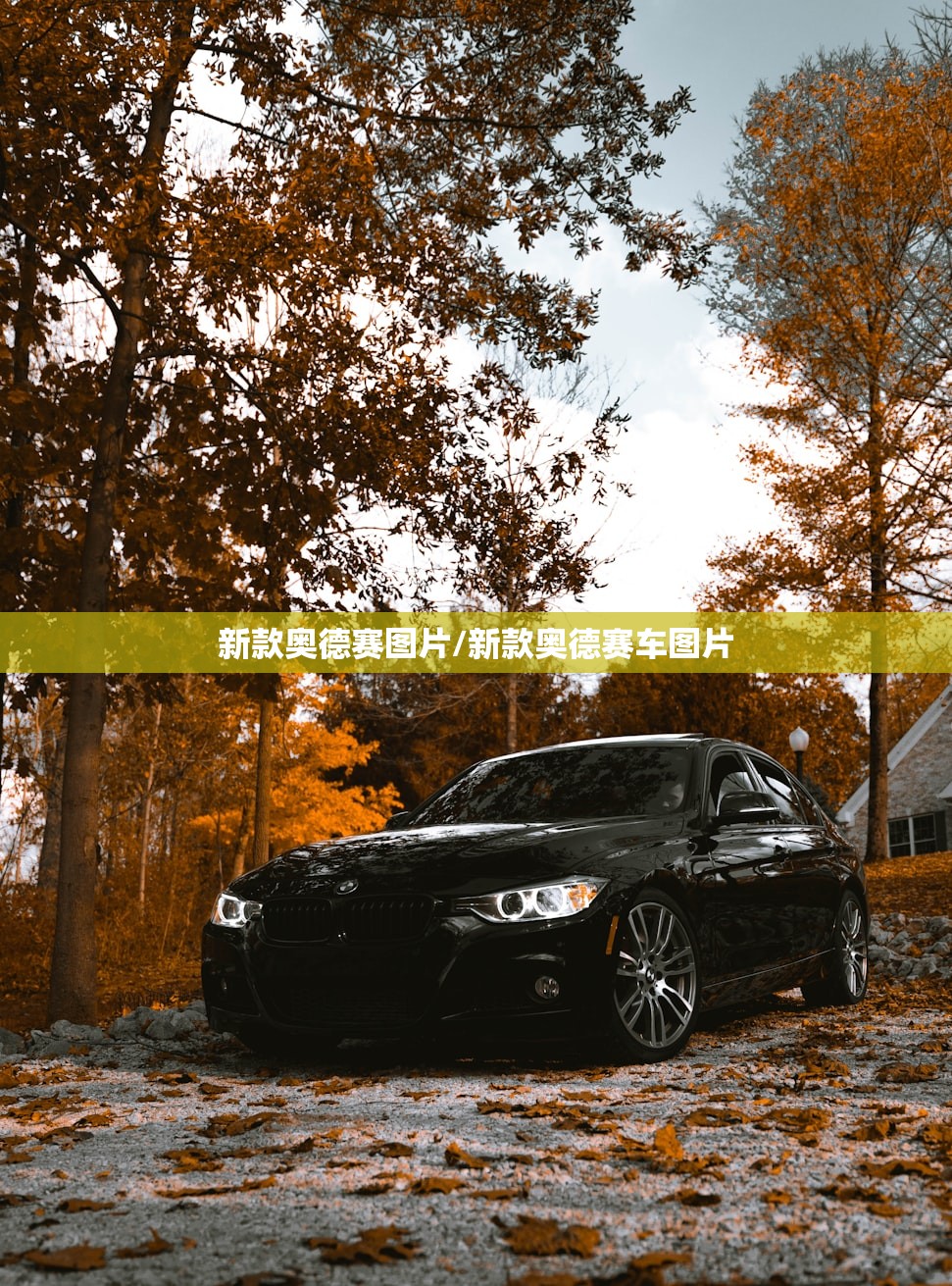 新款奥德赛图片/新款奥德赛车图片