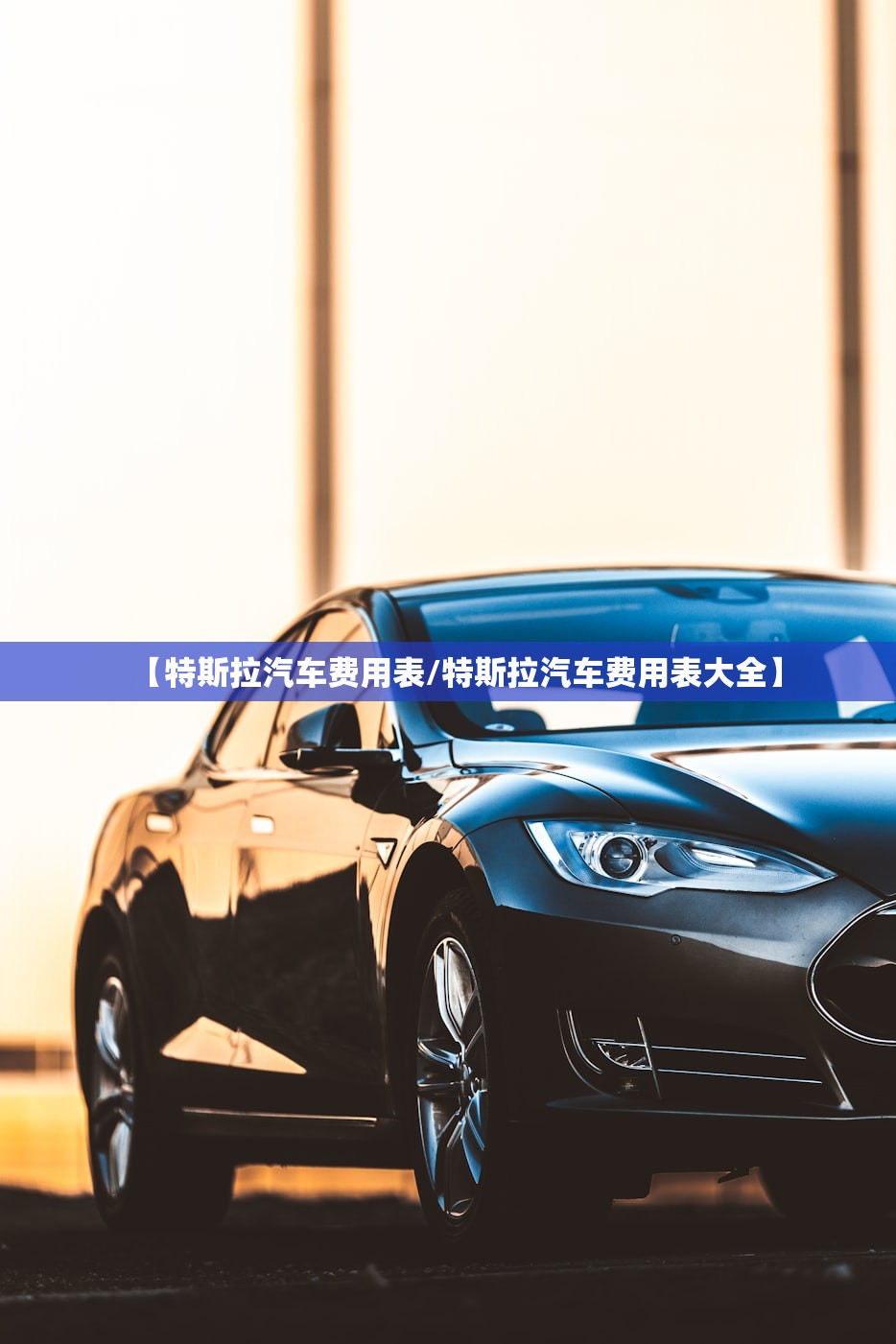【特斯拉汽车费用表/特斯拉汽车费用表大全】