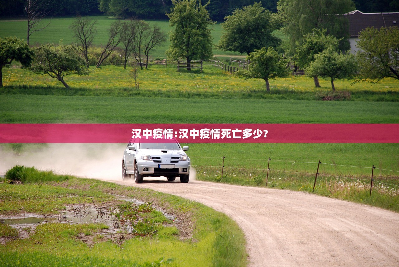 汉中疫情:汉中疫情死亡多少?