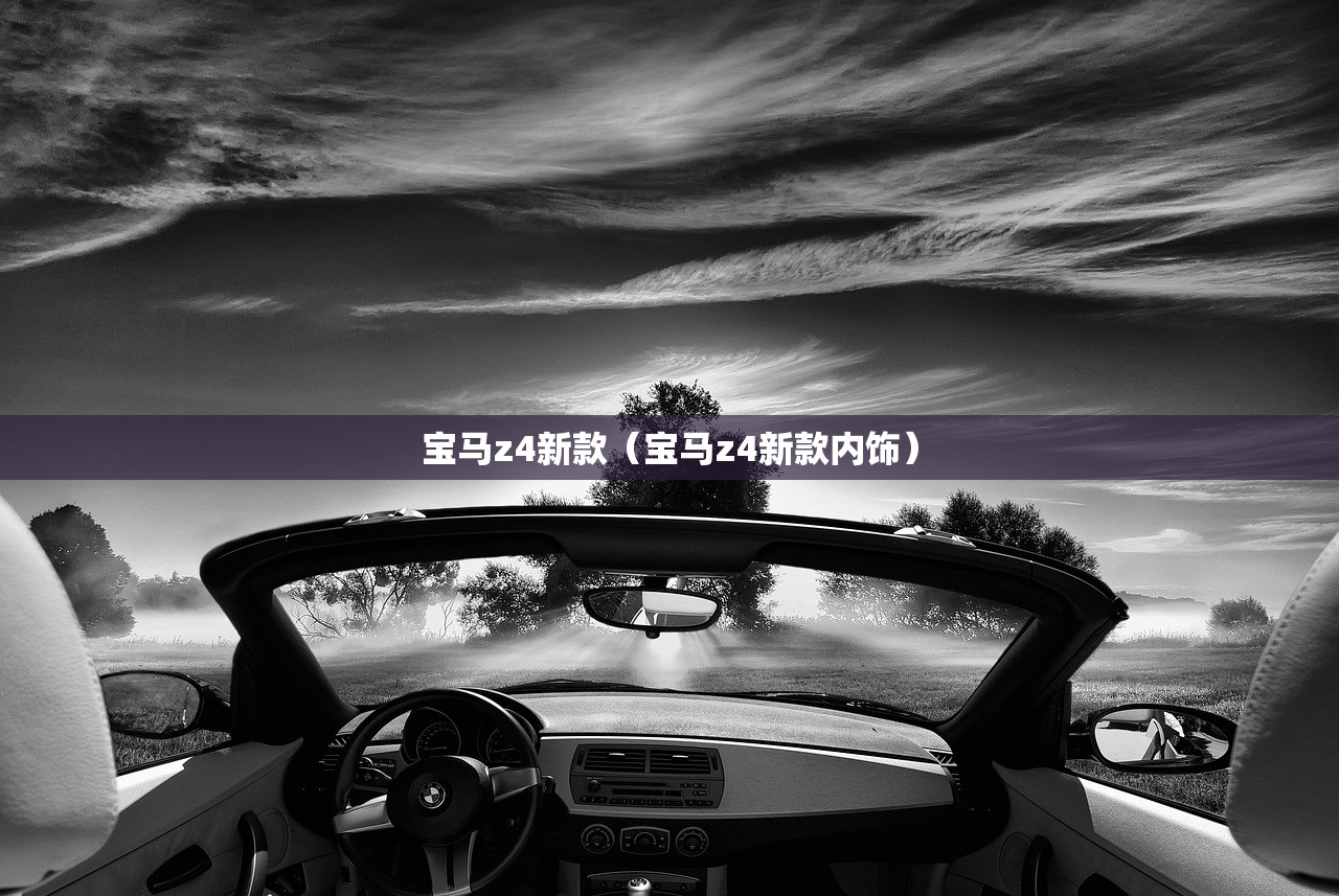 宝马z4新款（宝马z4新款内饰）