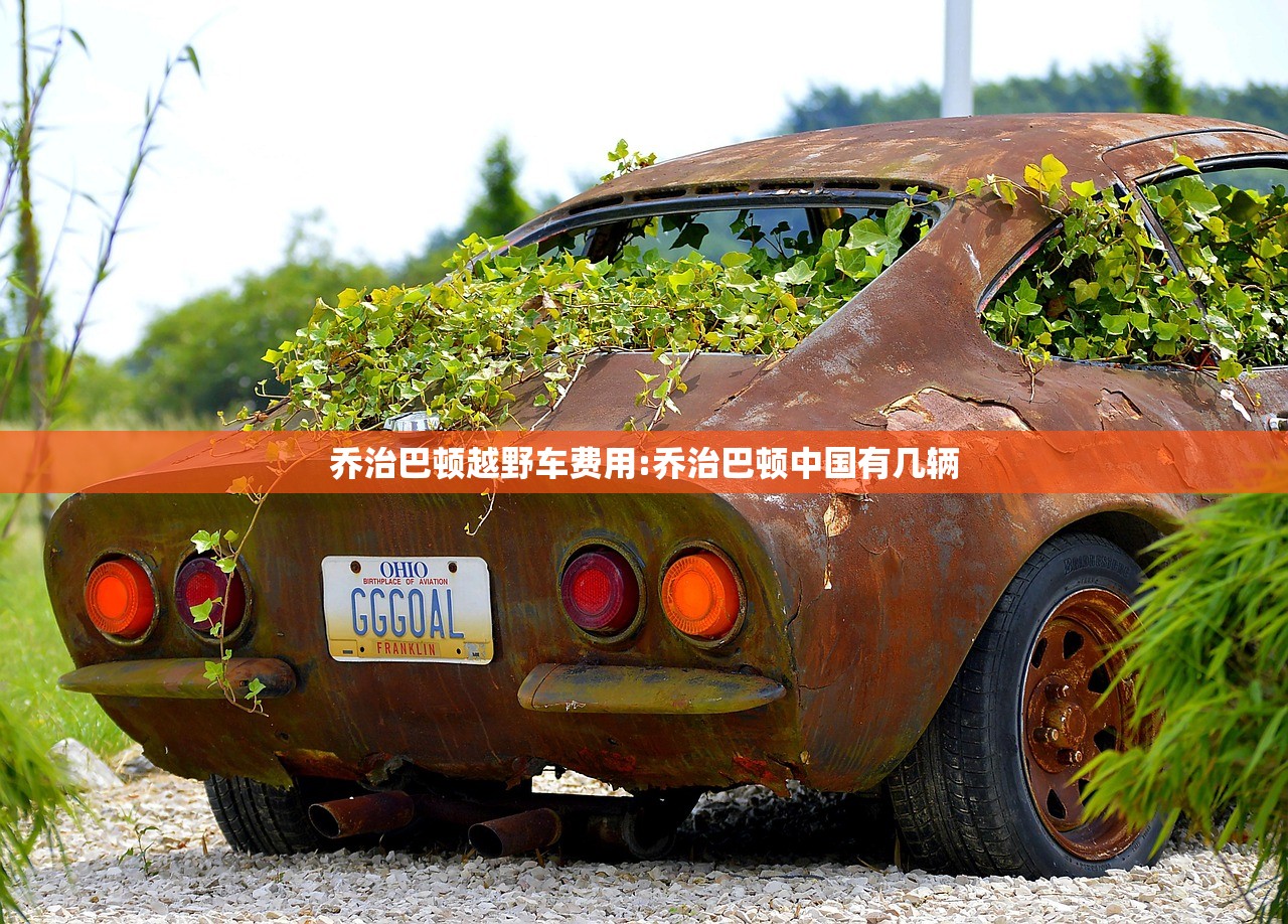 乔治巴顿越野车费用:乔治巴顿中国有几辆