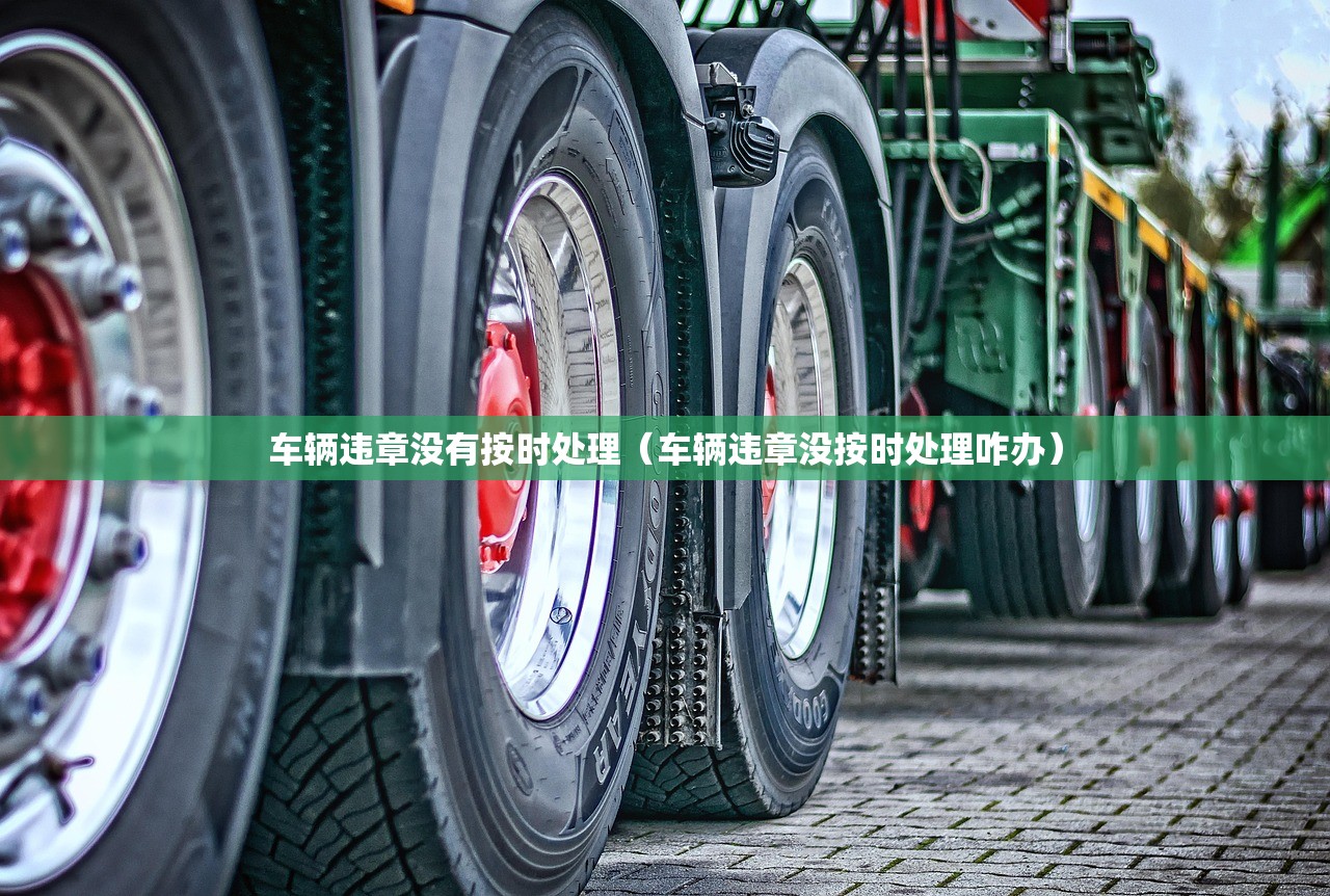 车辆违章没有按时处理（车辆违章没按时处理咋办）
