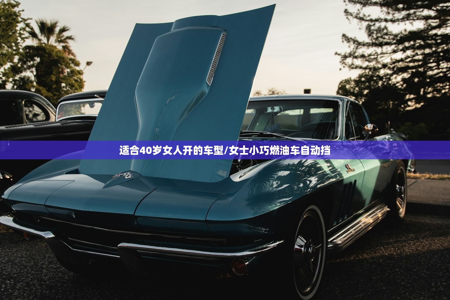 适合40岁女人开的车型/女士小巧燃油车自动挡