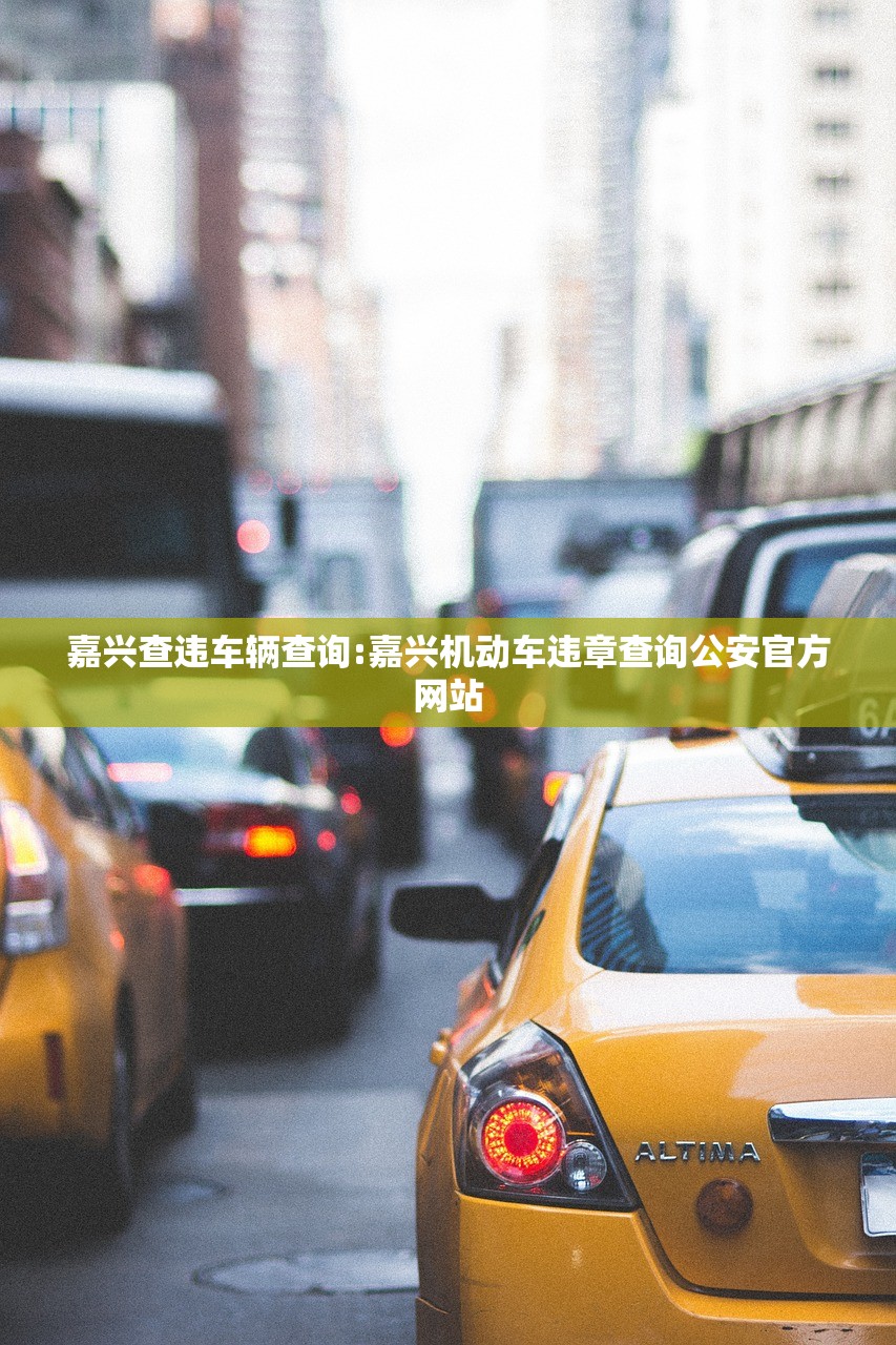 嘉兴查违车辆查询:嘉兴机动车违章查询公安官方网站