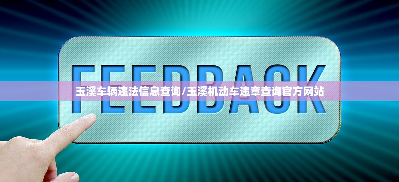 玉溪车辆违法信息查询/玉溪机动车违章查询官方网站