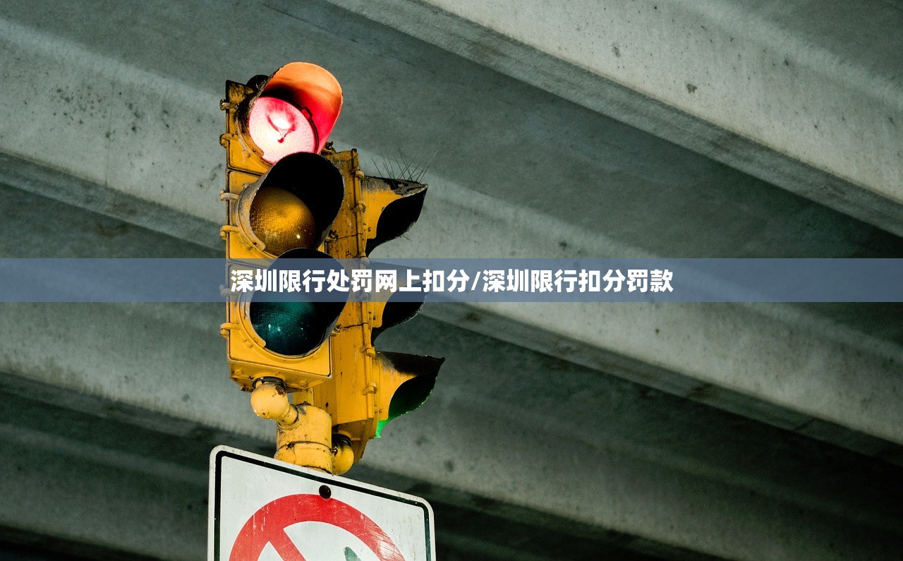 深圳限行处罚网上扣分/深圳限行扣分罚款