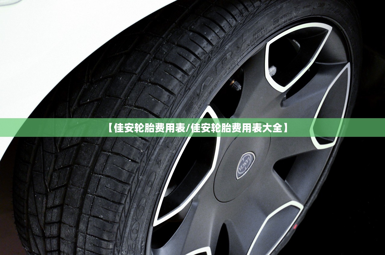 【佳安轮胎费用表/佳安轮胎费用表大全】