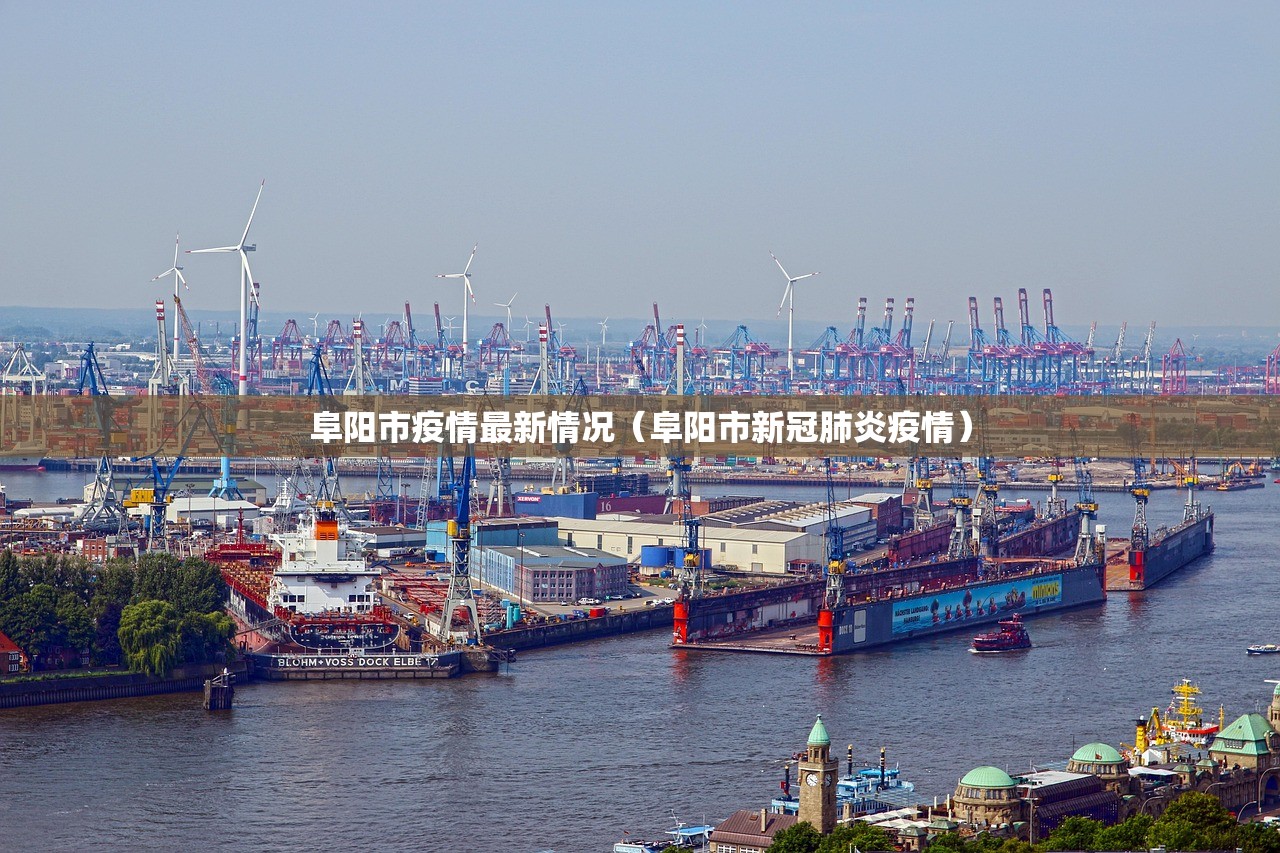 阜阳市疫情最新情况（阜阳市新冠肺炎疫情）