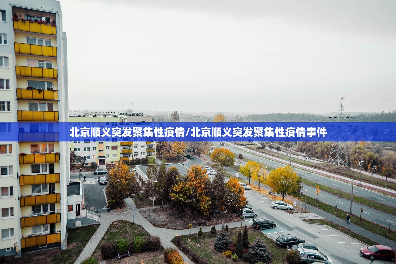 北京顺义突发聚集性疫情/北京顺义突发聚集性疫情事件