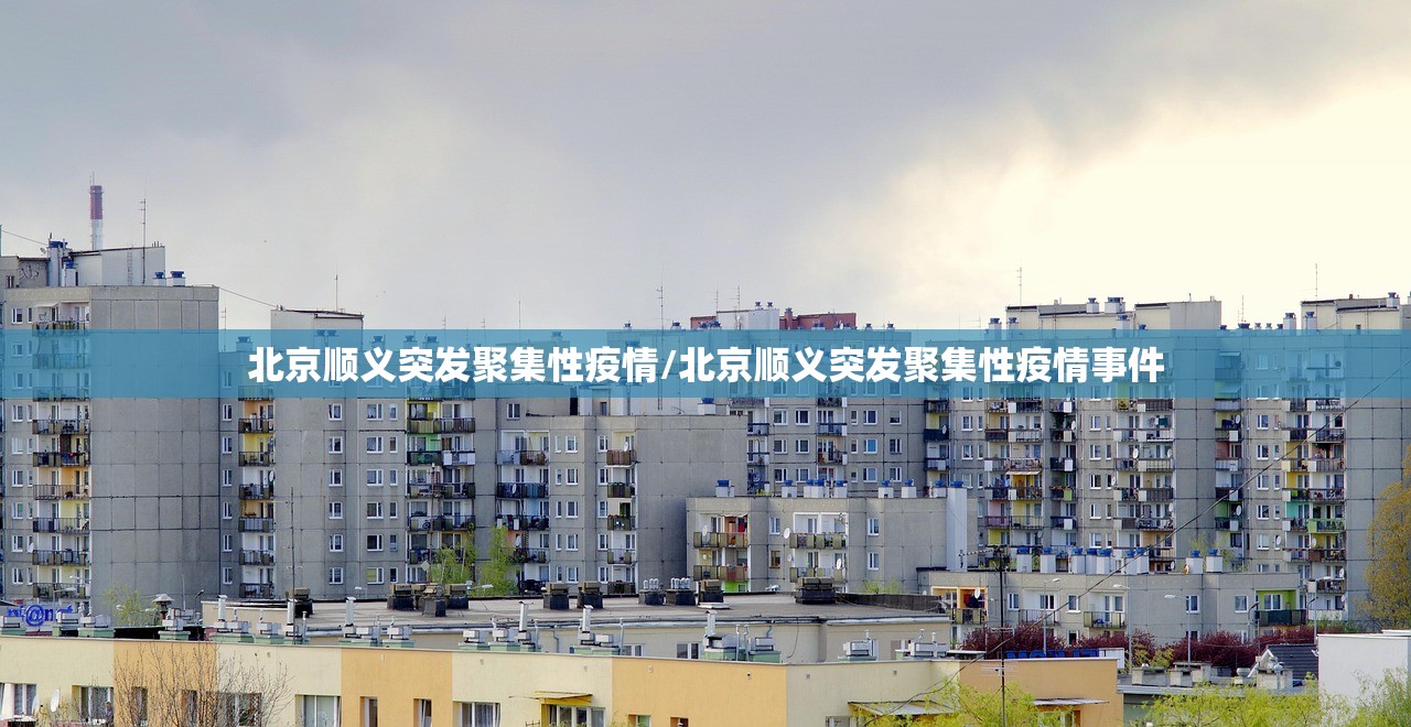 北京顺义突发聚集性疫情/北京顺义突发聚集性疫情事件