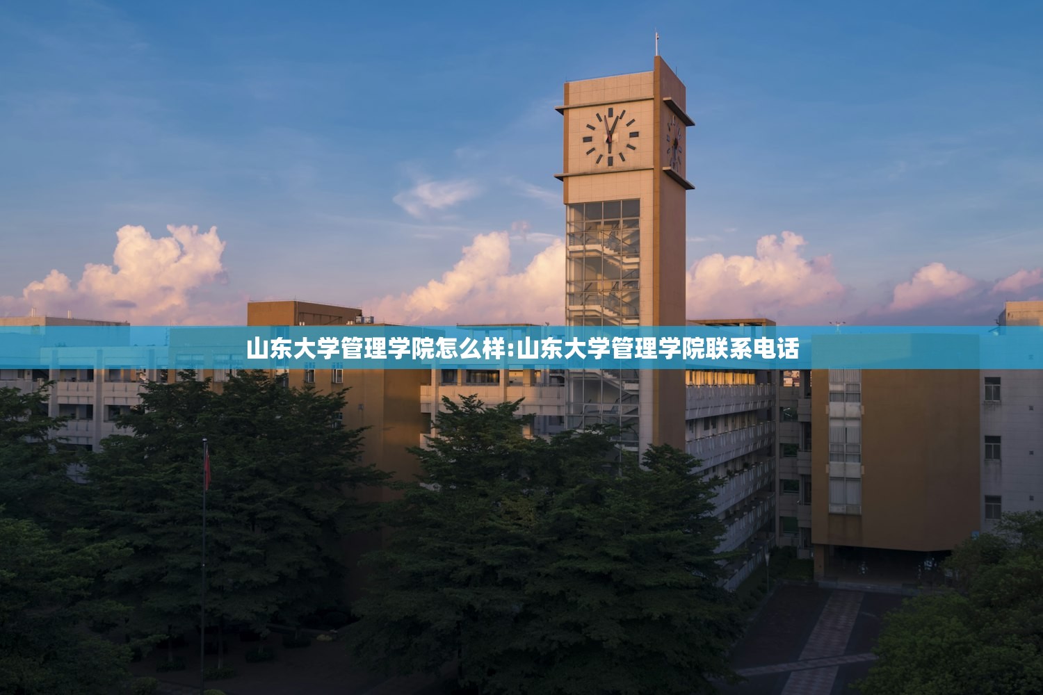 山东大学管理学院怎么样:山东大学管理学院联系电话