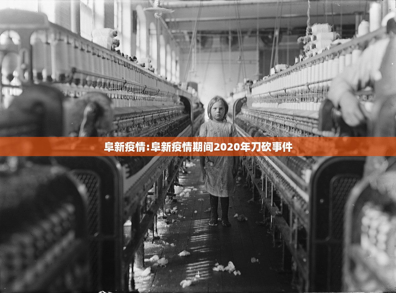 阜新疫情:阜新疫情期间2020年刀砍事件