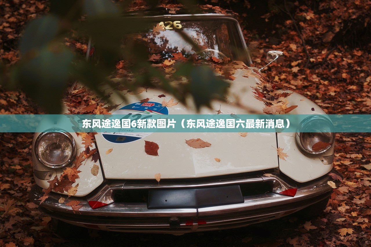 东风途逸国6新款图片（东风途逸国六最新消息）