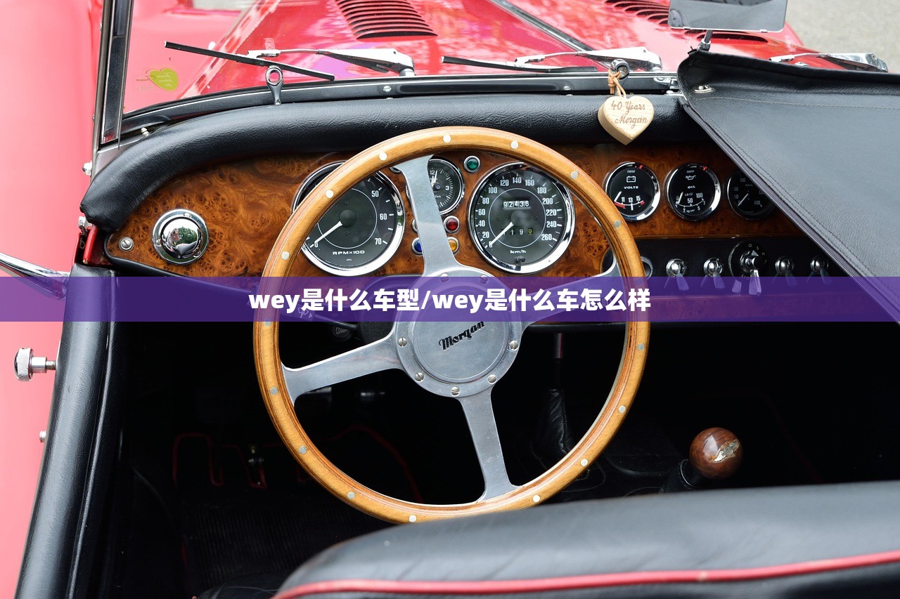wey是什么车型/wey是什么车怎么样