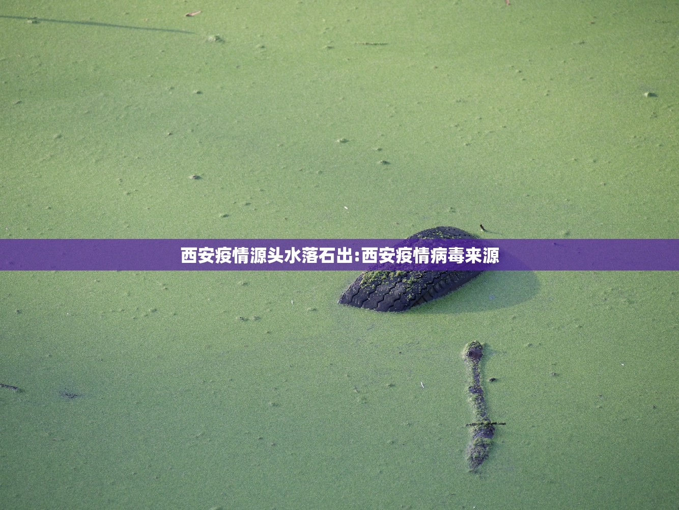 西安疫情源头水落石出:西安疫情病毒来源
