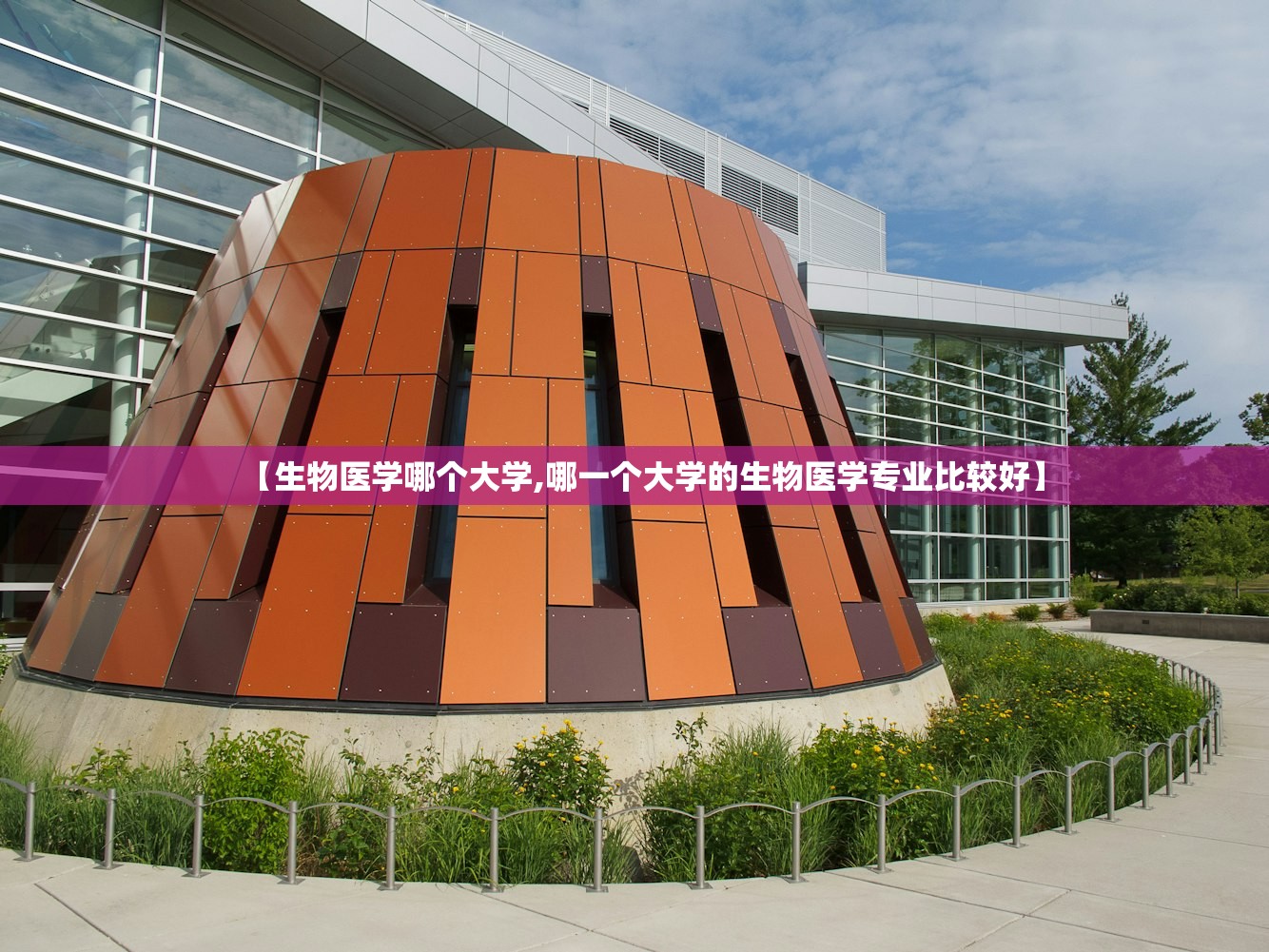 【生物医学哪个大学,哪一个大学的生物医学专业比较好】