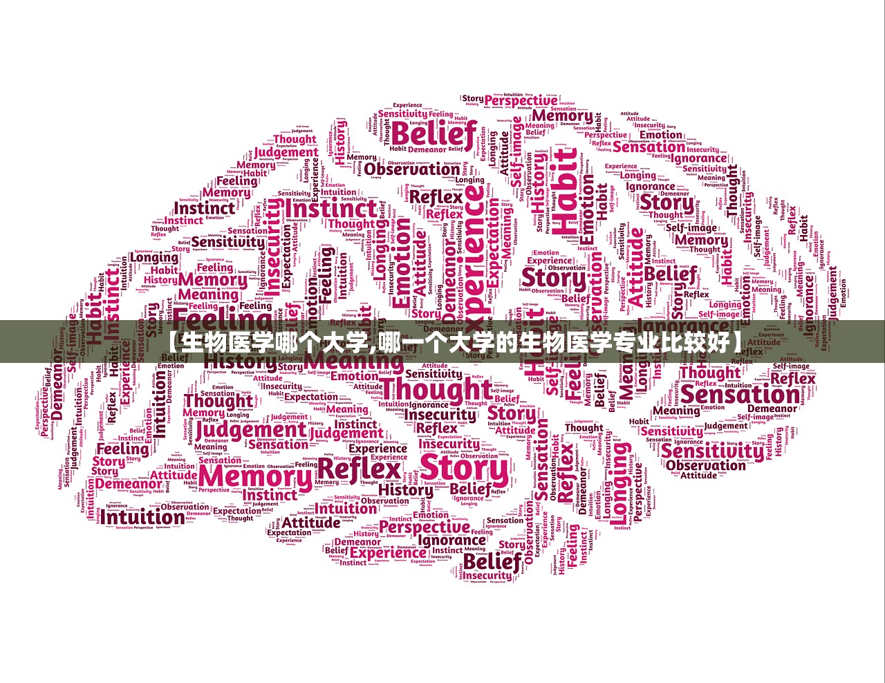 【生物医学哪个大学,哪一个大学的生物医学专业比较好】