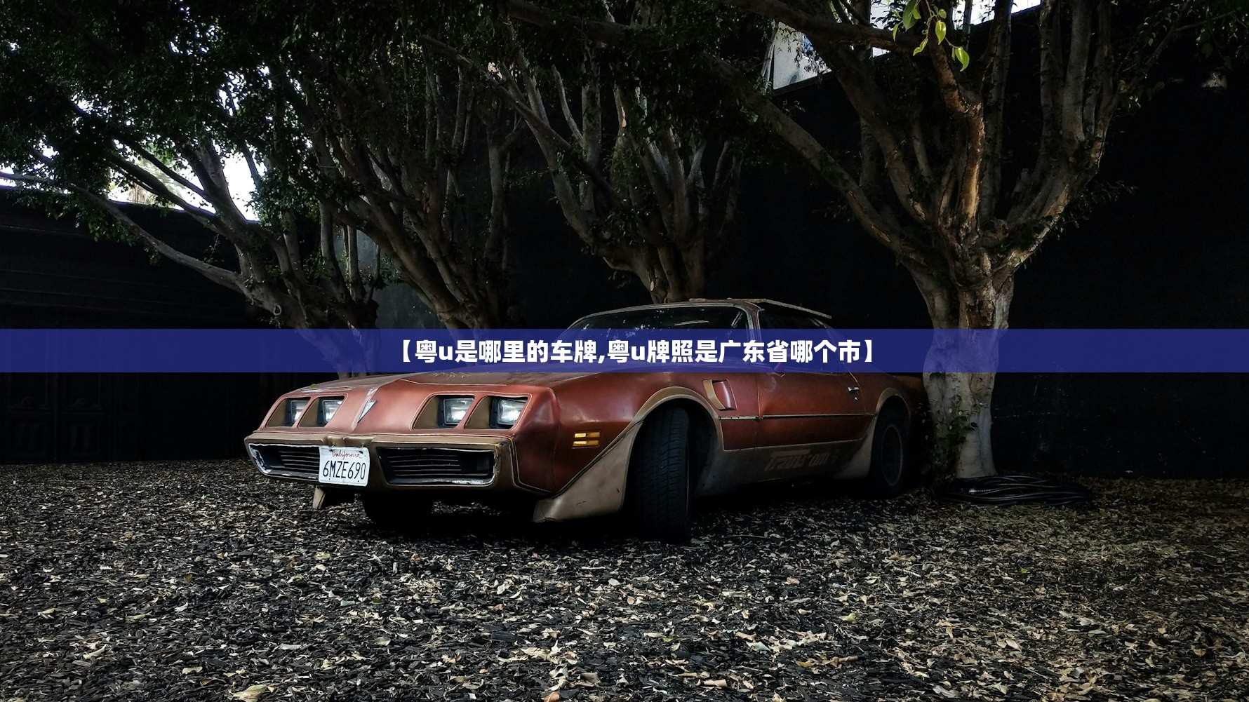 【粤u是哪里的车牌,粤u牌照是广东省哪个市】