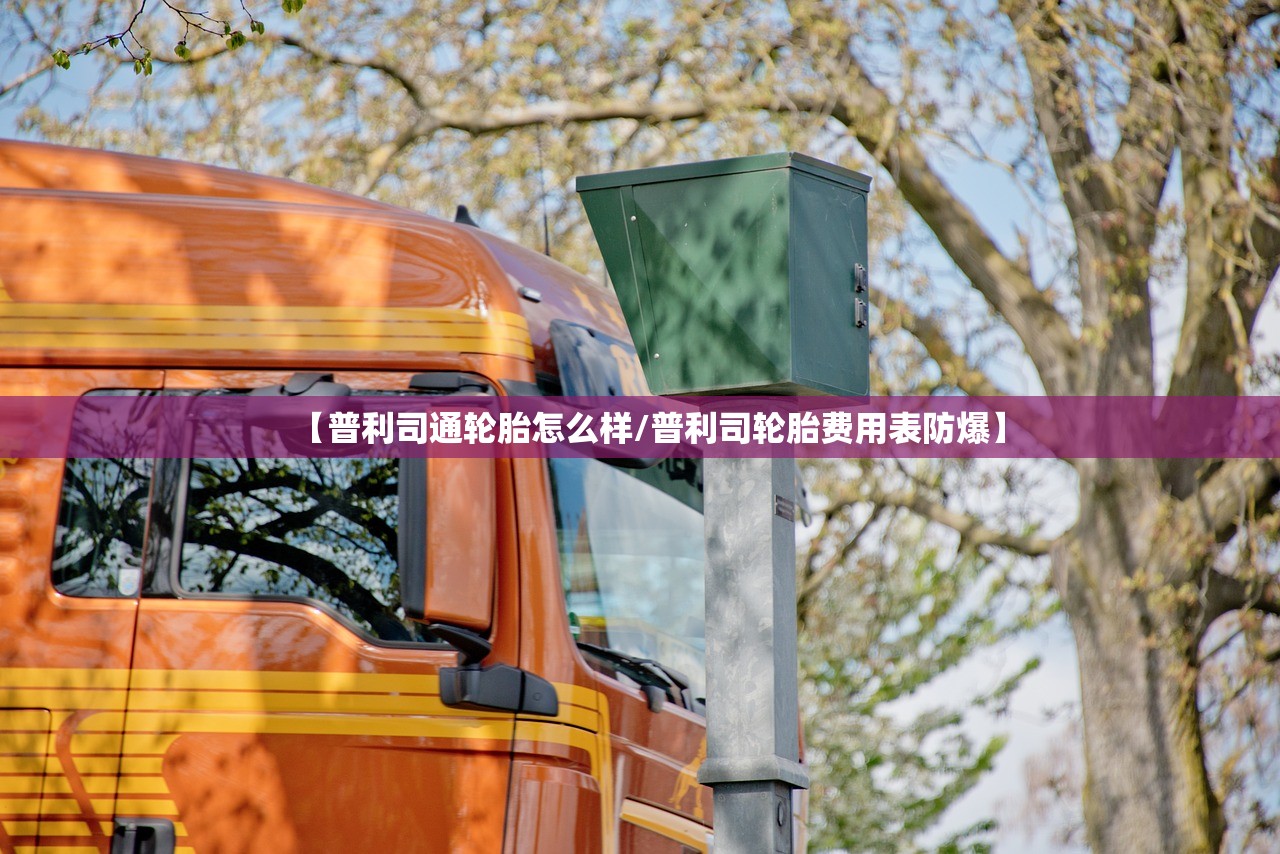 【普利司通轮胎怎么样/普利司轮胎费用表防爆】