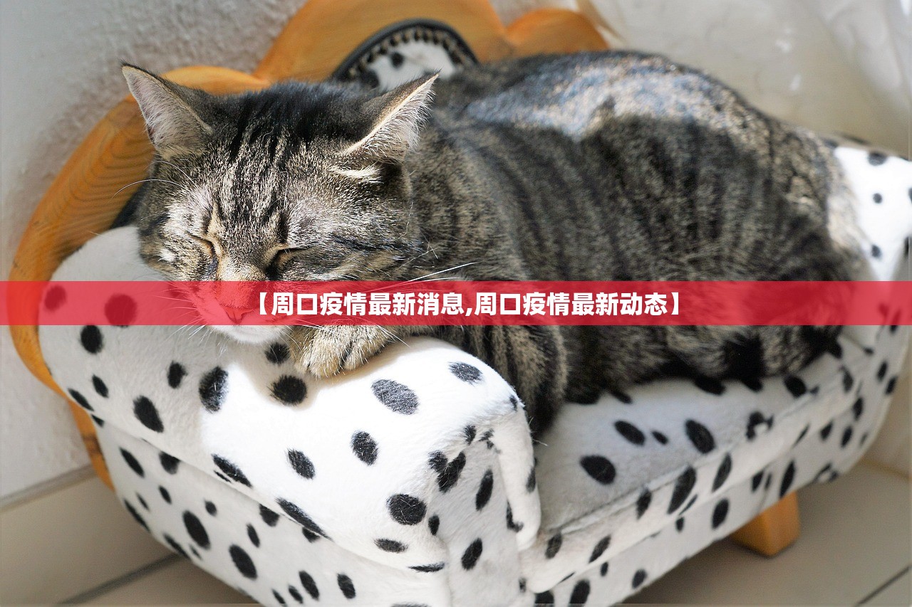 【周口疫情最新消息,周口疫情最新动态】 【周口疫情最新消息,周口疫情最新动态】