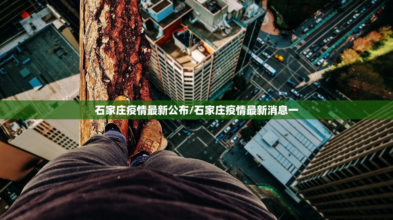 石家庄疫情最新公布/石家庄疫情最新消息一