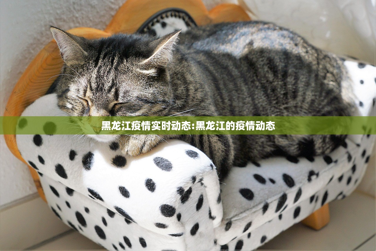 黑龙江疫情实时动态:黑龙江的疫情动态