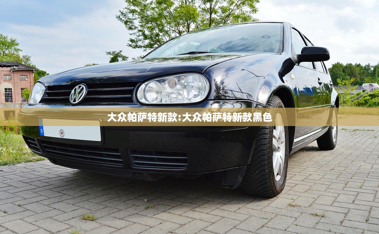 大众帕萨特新款:大众帕萨特新款黑色