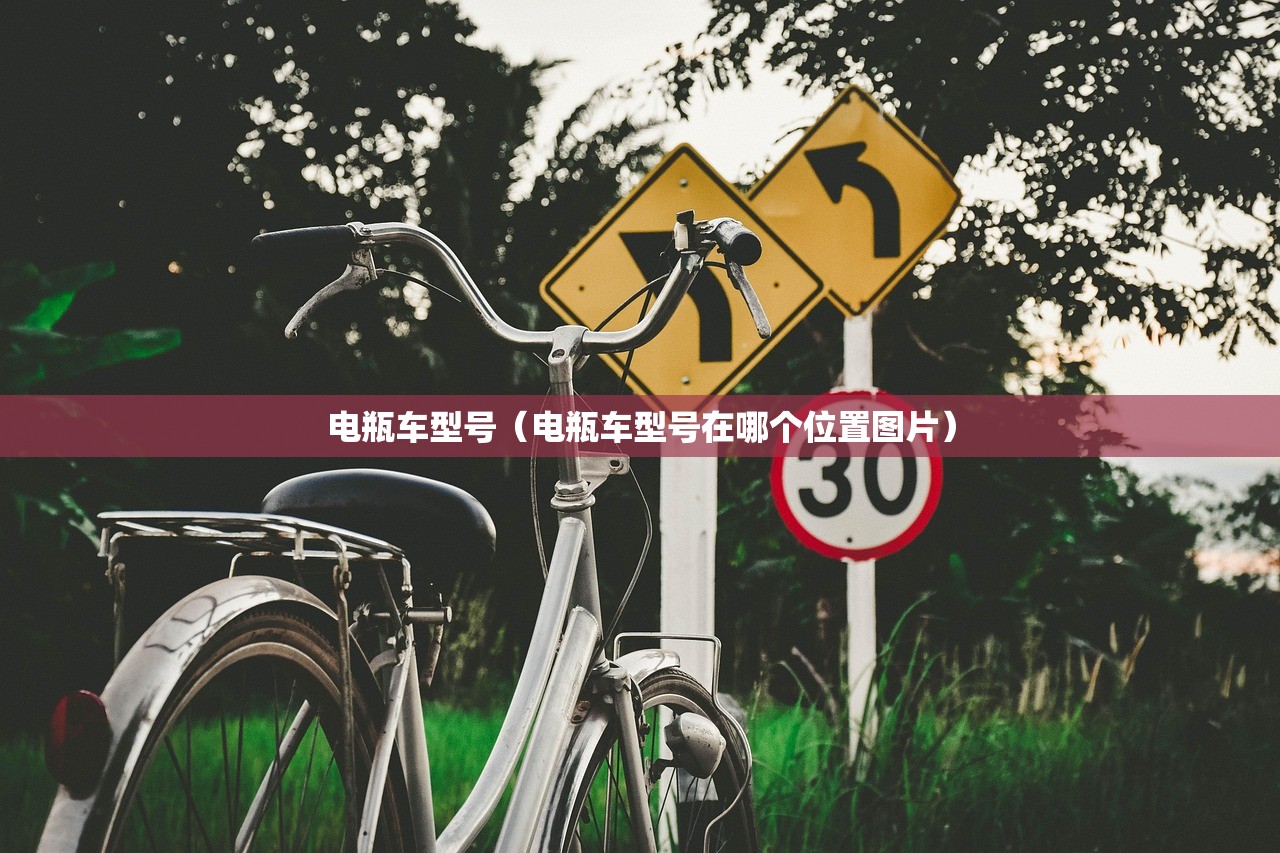 电瓶车型号（电瓶车型号在哪个位置图片）