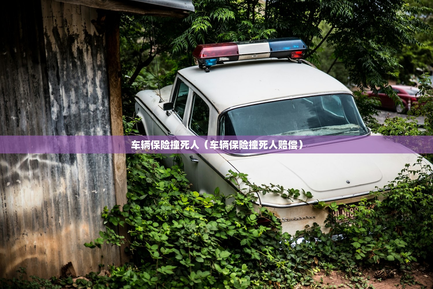 车辆保险撞死人（车辆保险撞死人赔偿）