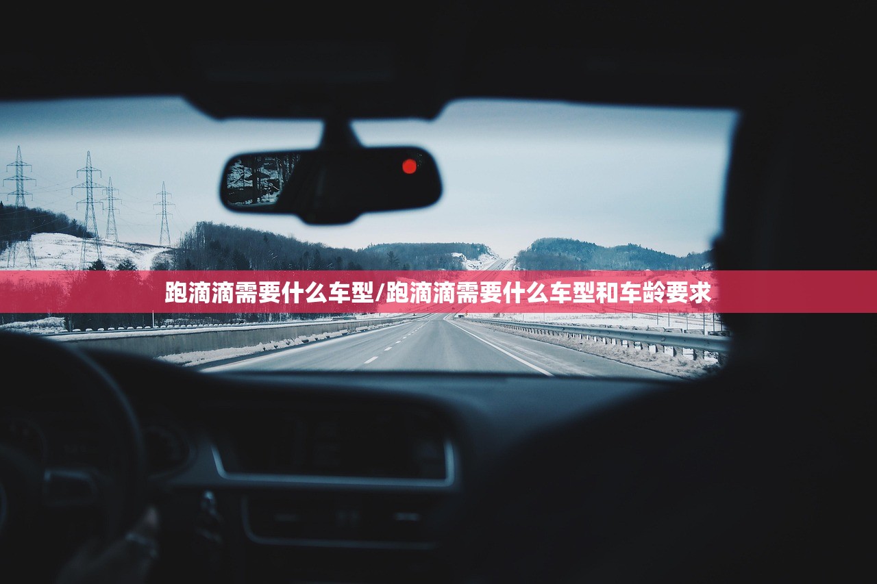 跑滴滴需要什么车型/跑滴滴需要什么车型和车龄要求 跑滴滴需要什么车型/跑滴滴需要什么车型和车龄要求