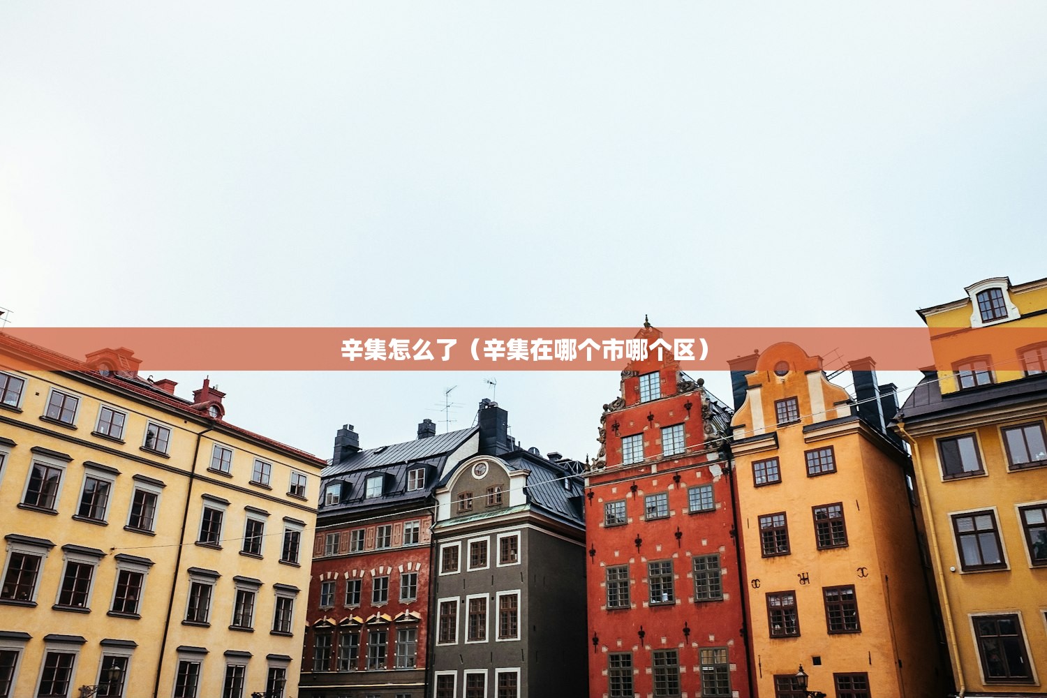 辛集怎么了（辛集在哪个市哪个区）