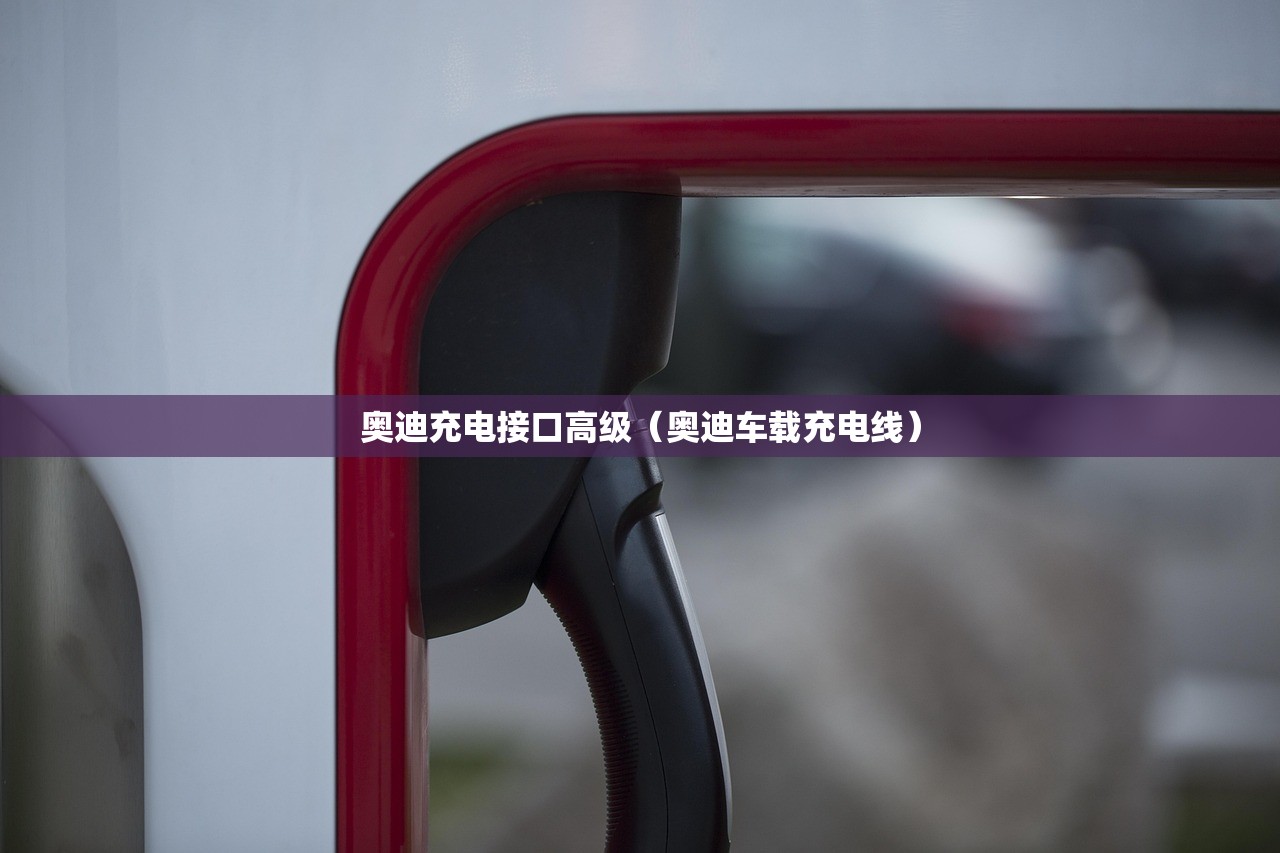 奥迪充电接口高级（奥迪车载充电线）