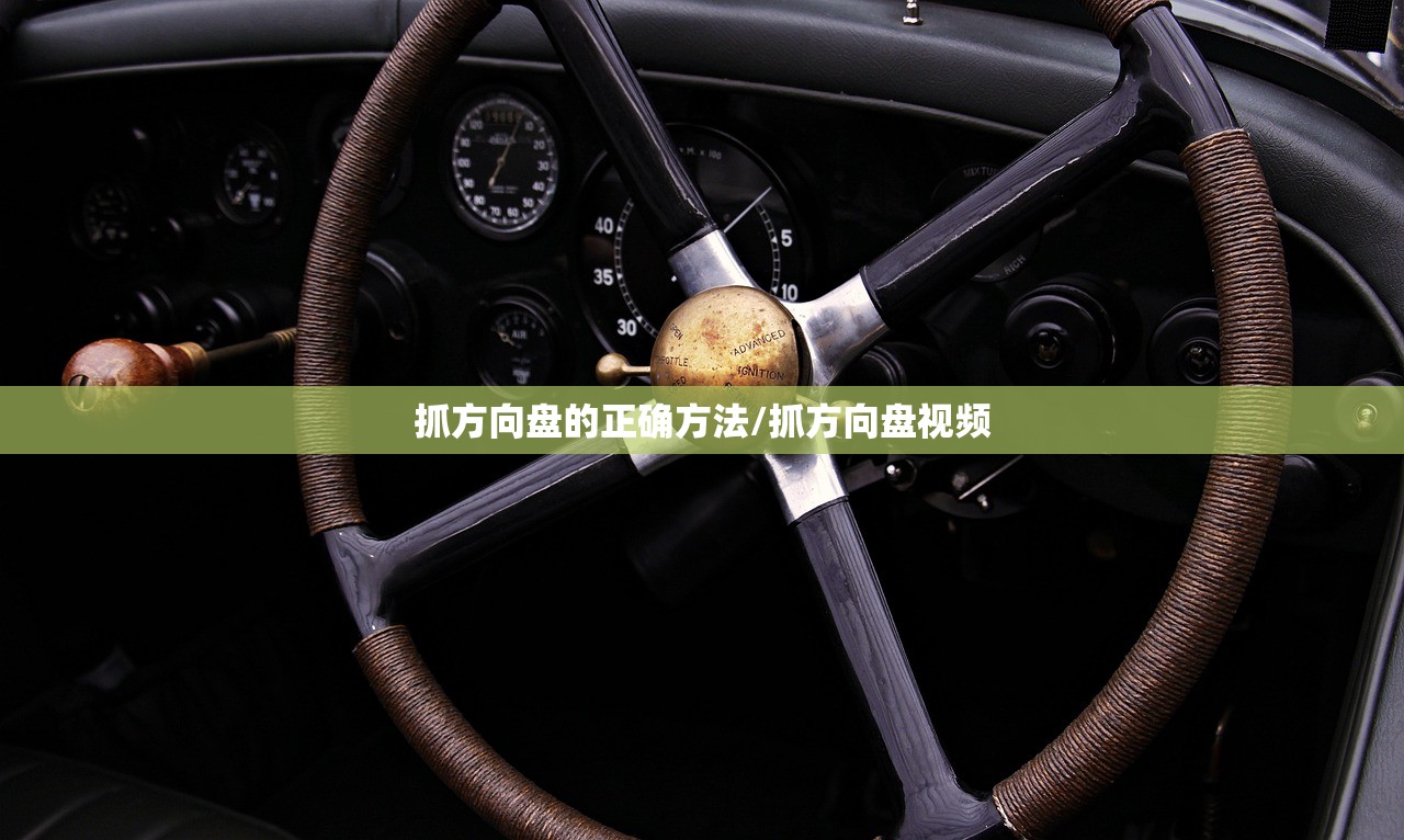 抓方向盘的正确方法/抓方向盘视频