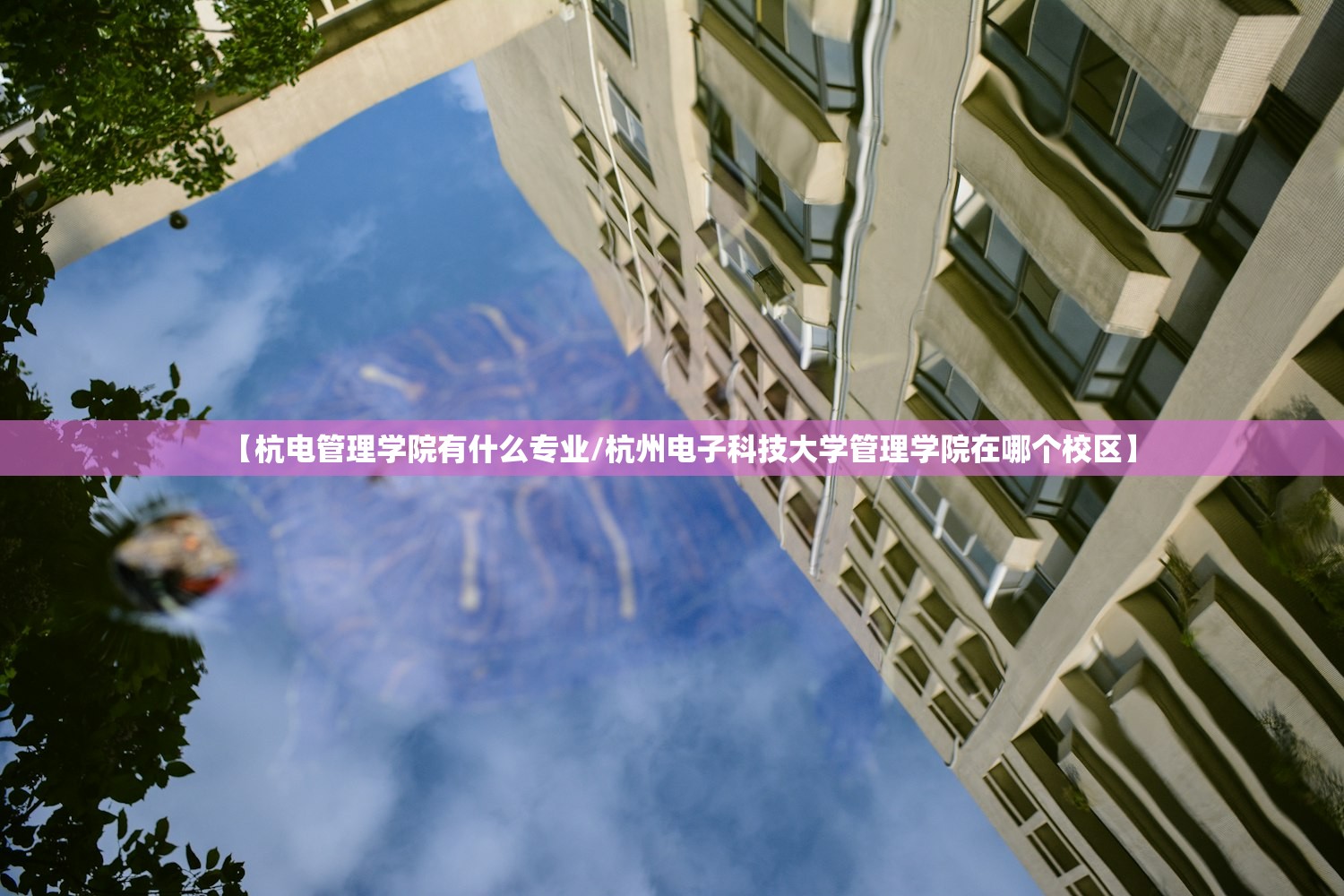 【杭电管理学院有什么专业/杭州电子科技大学管理学院在哪个校区】