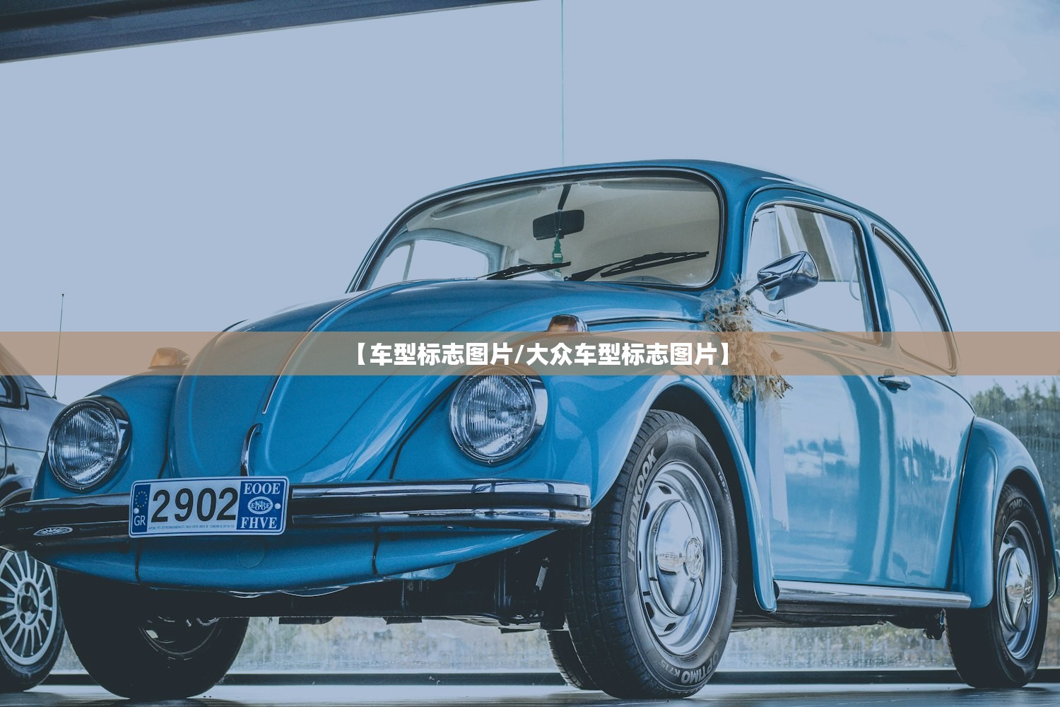 【车型标志图片/大众车型标志图片】