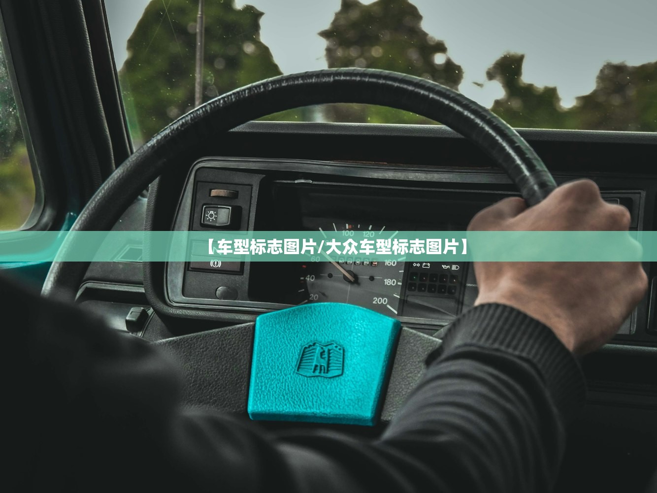 【车型标志图片/大众车型标志图片】