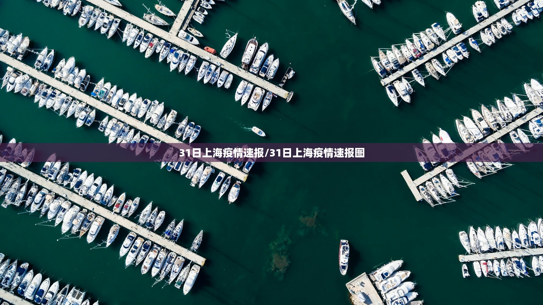 31日上海疫情速报/31日上海疫情速报图