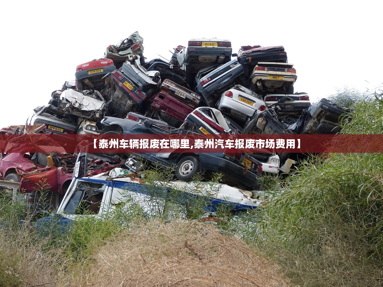 【泰州车辆报废在哪里,泰州汽车报废市场费用】