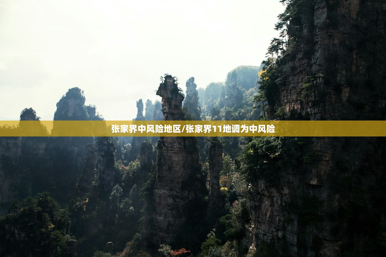 张家界中风险地区/张家界11地调为中风险