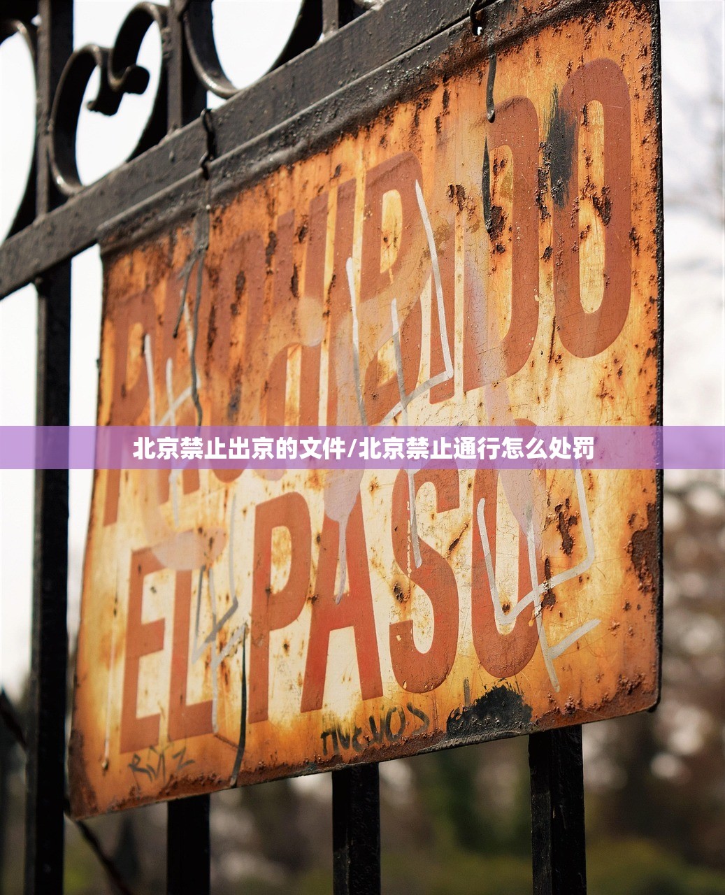 北京禁止出京的文件/北京禁止通行怎么处罚