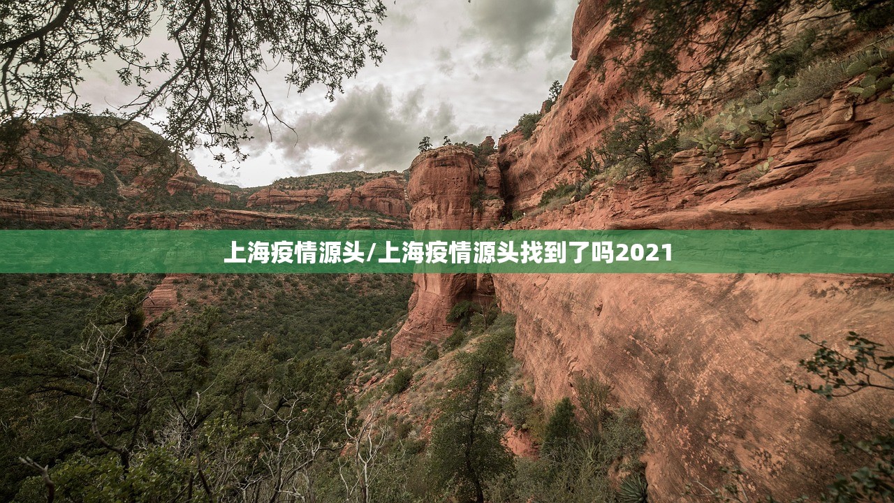 上海疫情源头/上海疫情源头找到了吗2021