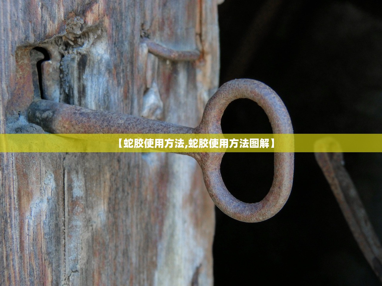 【蛇胶使用方法,蛇胶使用方法图解】